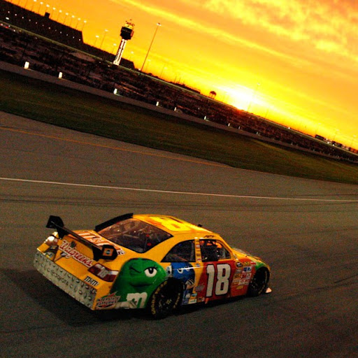 Micheal Cook Photo 10