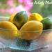 Dan Lemon Photo 16