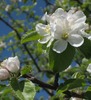 Lois Long Photo 14