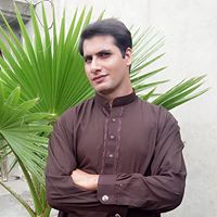 Mahmood Bhatti Photo 3