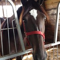 Martha Richardson Photo 17