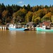 Martin Sewell Photo 16
