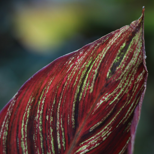 Peter Rawlins Photo 26