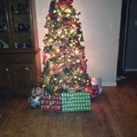 Kathleen Lombardo Photo 31