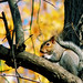Gary Gray Photo 55