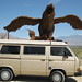 Patricia Wray Photo 29
