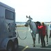 Martha Tack Photo 4