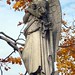 Elizabeth Brigham Photo 30