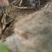Jody Henley Photo 12