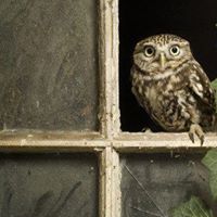 Debra Summers Photo 13