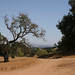 Adam Robles Photo 28