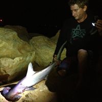 Joel Howarth Photo 9