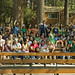 Sharon Wang Photo 12