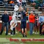 Jeff Langley Photo 39