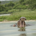 Elizabeth Wild Photo 15