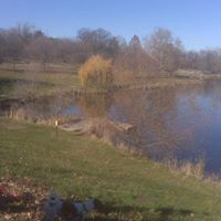 Jerilyn Brown Photo 15