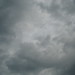 Ted Grey Photo 6