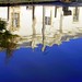 Teresa Flood Photo 16