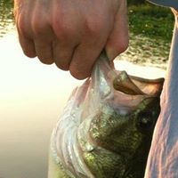 Duane Ross Photo 40