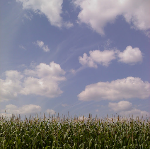 Scott Hanson Photo 32