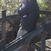 Leeann Christian Photo 12
