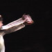Ross Cutler Photo 8