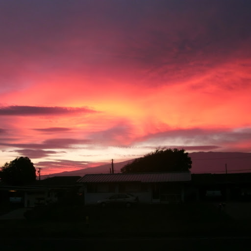 Graham Norris Photo 9