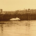 Angelo Conte Photo 17