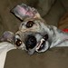 Debbie Timmons Photo 17