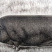 Marty Perkins Photo 19