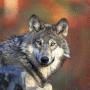 Linda Sherman Photo 8