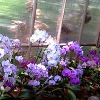 Janice Reeder Photo 23