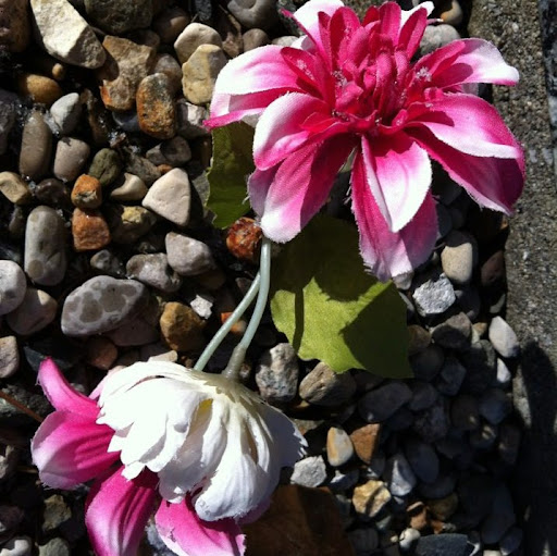 Gretchen Ross Photo 20
