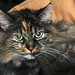Tabitha Majors Photo 4