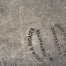 Mark Rhoades Photo 16
