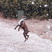 Cindy Platt Photo 28