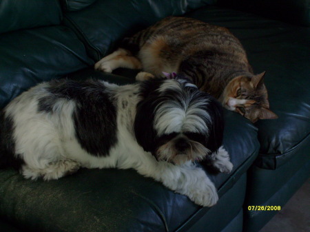 Patricia Simmons Photo 10