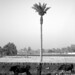 Donna Fields Photo 27