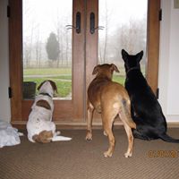 Sandy Shuler Photo 9