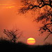 Sandra Lever Photo 6
