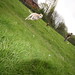 Jessie Oldham Photo 15