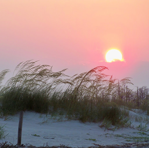 Brenda Goins Photo 38