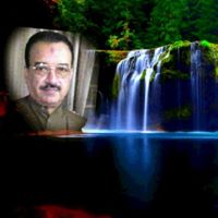 Ashiq Shah Photo 17