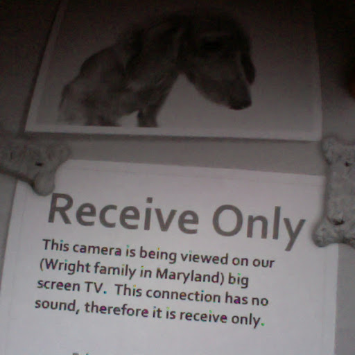 Lynn Wright Photo 8