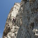 Aldo Torres Photo 16
