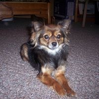 Cathy Kidd Photo 7
