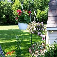 Kathy Goodrich Photo 8