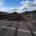David Lines Photo 35