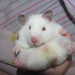 Ruby Ham Photo 9
