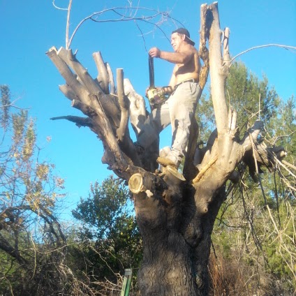 Donnie Adkins Photo 10
